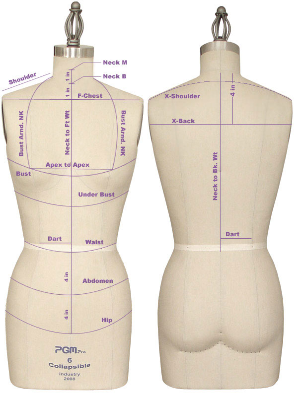 Upper Body Measurements  Apparel, Dress forms, Body